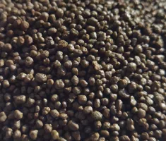MAP 12-52 (Monoammonium Phosphate)